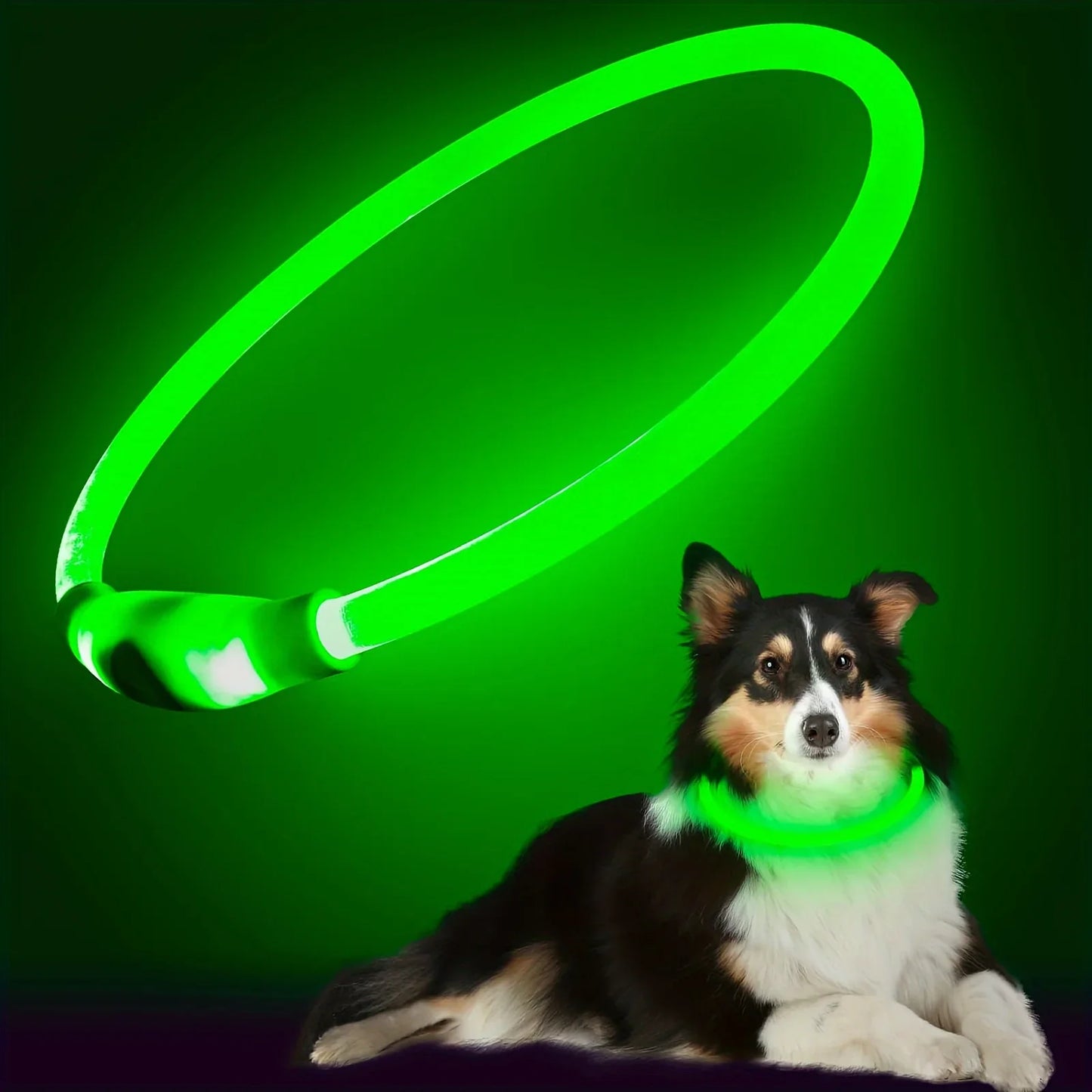 LED Light Dog Collar USB Charging Luminous Anti-Lost Necklace for Large Medium Small Dogs Pet Safety Accessory